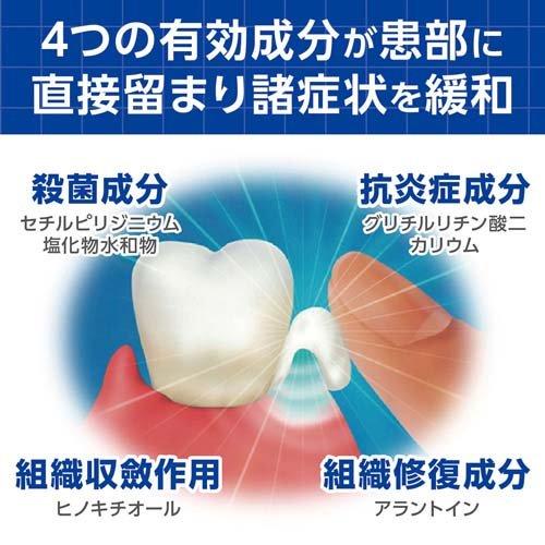Lion dental Health R 齒槽膿漏藥膏/ライオン　デントヘルスR　20ｇ