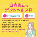 Lion dental Health R 齒槽膿漏藥膏/ライオン　デントヘルスR　20ｇ