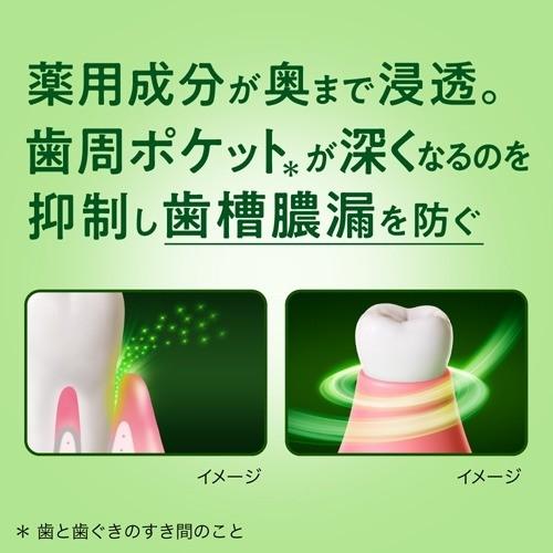 綠茶素齒槽膿漏牙周護理 plus牙膏 大容量 /ディープクリーン 薬用ハミガキ　大容量 ( 160g )