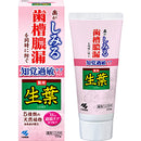 生葉防護抗敏感牙膏 /薬用生葉s 知覚過敏症状予防タイプ ( 100g )