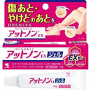 小林製藥 除疤藥膏 EX /アットノンEX ジェル ( 15g )
