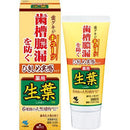 生葉藥用齒槽膿漏防止牙膏 /薬用ひきしめ生葉 ( 100g )