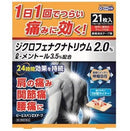 大石膏盛堂鎮痛消炎貼ZX /ビーエスバンZXテープ21枚